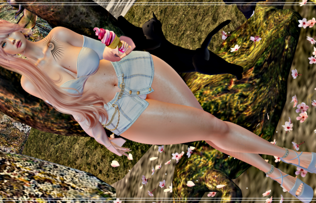 EvoShop HUD June 14 – 16