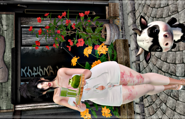 EvoShop HUD July 12 – 13
