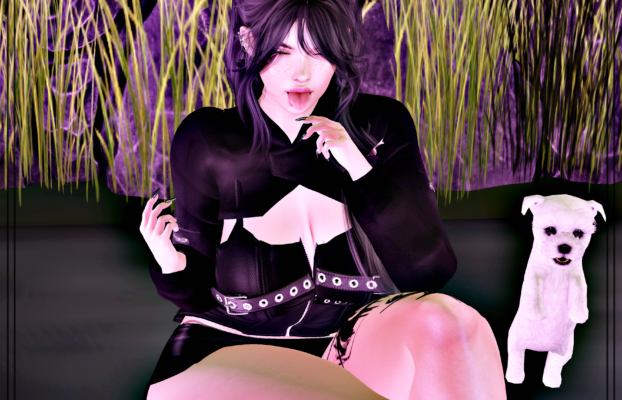 EvoShop HUD Jan 10 – 12